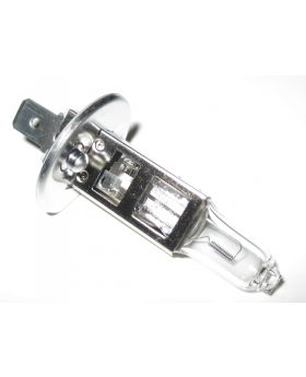 BMW Head Light Lamp Bulb 12 Volt 55 Watt H1 7160777 63217160777 New Genuine