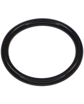 BMW Valvetronic Shaft Rear Adapter Seal O-Ring Gasket 11377510030 New Genuine