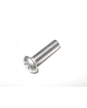BMW Security Anti-Tamper Torx Bolt M6x1.00x20mm 2355984 82792355984 New Genuine