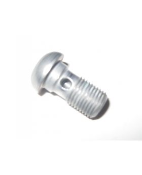 BMW T40 Torx-Head Hydraulic Banjo Bolt M10x1.00x19mm 34327667316 Other Genuine
