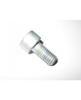 BMW Torx Bolt Screw M8 x 1.25 x 16 mm Grade 8.8 9919720 07119919720 Genuine