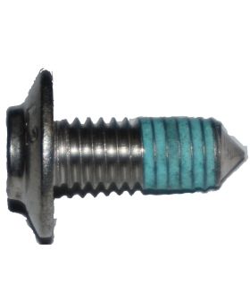 BMW Stainless Torx Head Bolt Screw M6 x 1.00 x 16 mm A2 61318547664 New Genuine