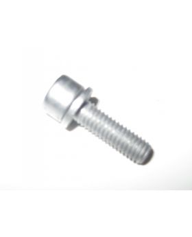 BMW Torx Bolt & Washer M6x1.00x20 mm Grade 8.8 9905556 07129905556 New Genuine