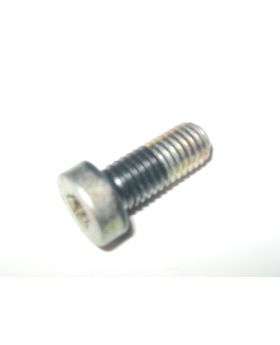 Mercedes Torx Bolt M8x1.25x20 mm Grade 8.8 A1299903612 New Genuine