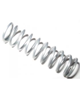 BMW Getrag Gearbox Shift Selector Rod Detent Spring 23311228405 New Genuine