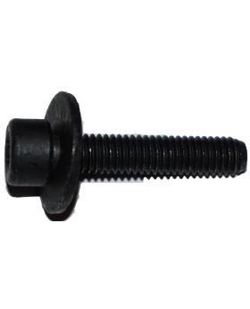 BMW T30 Torx-Head Bolt Screw & Washer M6 x 1.00 x 30 mm 07129903757 New Genuine