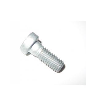 BMW Allen Bolt Screw M8 x 1.25 x 20mm Grade 8.8 9904375 07119904375 New Genuine