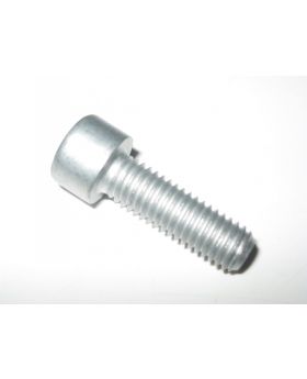BMW Allen Bolt Screw M8 x 1.25 x 25mm Grade 8.8 9901024 07119901024 New Genuine