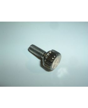 BMW Roof Rack Mount Security Bolt M6x1.00x16mm 9405589 New Genuine