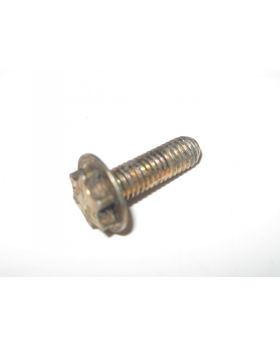 BMW Torx Bolt & Washer M6x1.00x20 mm Grade 8.8 8157630 Used Genuine