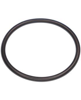 BMW Fuel Tank Level Sensor Sender O-Ring Seal Gasket 16111744369 New Genuine