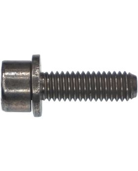 BMW T30 Torx-Head Bolt/Screw M6x1.00x20mm Grade 8.8 07129905516 New Genuine