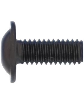 BMW 2.5mm Allen-Head Bolt/Screw M4x0.7x10mm Grade 10.9 41008422026 New Genuine