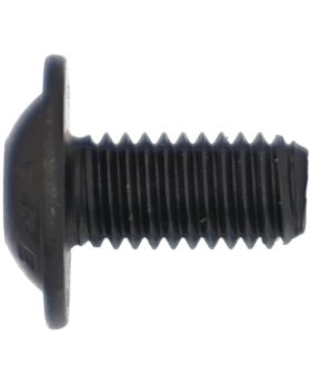 BMW 3mm Allen Head Bolt/Screw M5x0.8x10 mm Grade 10.9 41008422037 New Genuine