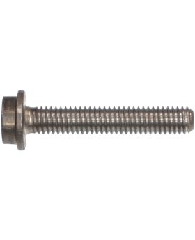 BMW T30 Torx-Head AL9 Alloy Bolt/Screw M6x1.00x35mm 11147724485 New Genuine