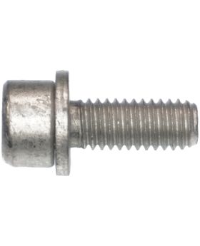 BMW T30 Torx-Head Bolt/Screw & Washer M6x1.00x16mm 07129902330 New Genuine