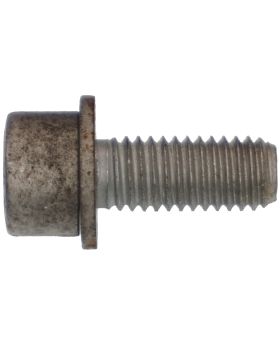 BMW 6mm Allen-Head Bolt/Screw M8x1.25x20mm Grade 8.8 07119902878 Used Genuine
