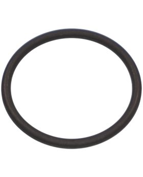 Mercedes Fuel Tank Strainer Filter Seal O-Ring Gasket A0229970648 New Genuine