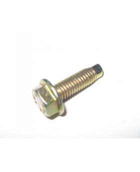 BMW Thread Cleaning Hex Bolt M6x1.00x20 mm 10.9 8357713 New Genuine