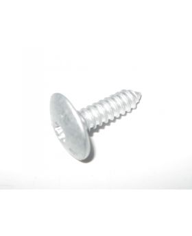 BMW T30 Torx-Head Self-Tapping Screw Bolt 6.3x21 mm 41358203482 New Genuine