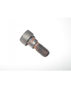 BMW M52 M54 Engine VANOS Camshaft Torx Bolt LHT 1748745 11361748745 Genuine