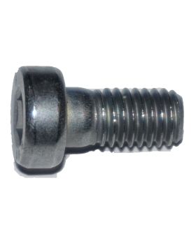BMW Allen Head Bolt Screw M5 x 0.80 x 10 mm Grade 8.8 07119904303 New Genuine