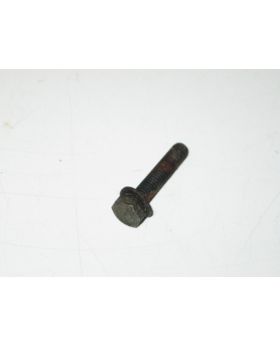 BMW 10mm Hex-Head Bolt/Screw M6x1.00x30mm Grade 8.8 07119906123 Used Genuine