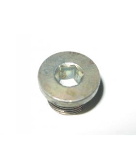BMW Drain Core Plug Screw Bolt M16 x 1.5 x 12mm 9919117 Used Genuine