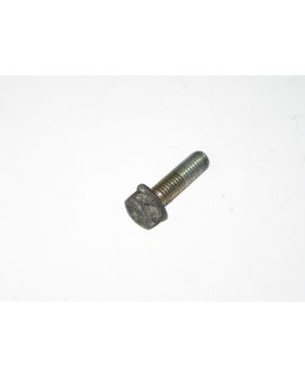 BMW Hex Bolt & Washer M8x1.25x30 mm Grade 8.8 9901137 Used Genuine