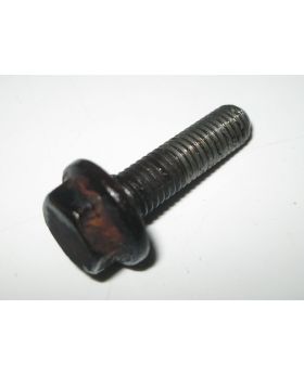 BMW Flange Head Bolt M8x1.25x31 mm Grade 10.9 1736005 Used Genuine