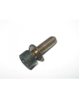 BMW Torx Bolt & Washer M6x1.00x20 mm Grade 8.8 9905556 07129905556 Used Genuine
