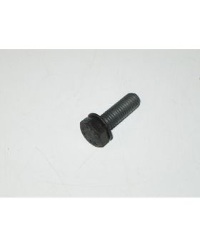 BMW Hex Bolt Screw M8 x 1.25 x 25 mm 8.8 ZF 0636024008 Used Genuine