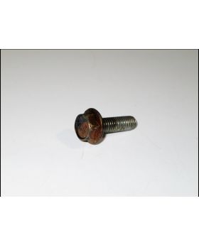 BMW M52 M54 Engine VANOS Hex Bolt M6x1.00x20mm 1440142 Used Genuine