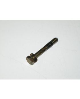 BMW Hex Bolt & Washer M8x1.25x55 mm Grade 8.8 9900258 Used Genuine