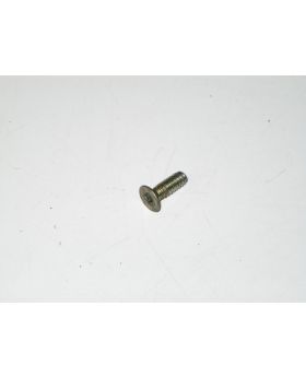 BMW Torx Self-Tapping/Locking Countersunk Screw 8125201 Used Genuine