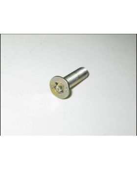 BMW E39 Rear Window Torx Bolt Screw M6x1.0x20mm 8211456 Used Genuine