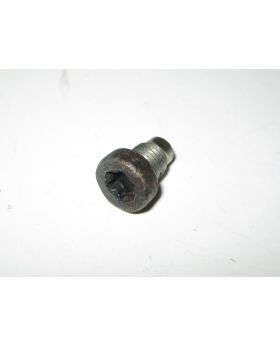 BMW M52 M54 Engine VANOS Torx Bolt M8x1.00x10mm 1440142 Used Genuine