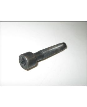 BMW E39 E38 Seat Backrest Torx Bolt M8x1.25x45 8261081 Used Genuine