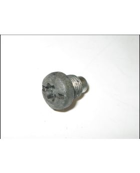 BMW M50 Engine VANOS Housing Bolt Torx Screw 1748036 Used Genuine
