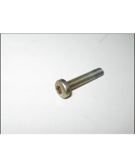 BMW Torx Head Bolt Screw M5 x 0.8 x 27 mm 8176530 Used Genuine