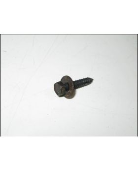 BMW Hex Head Self Tapping Screw With Washer 8250791 Used Genuine